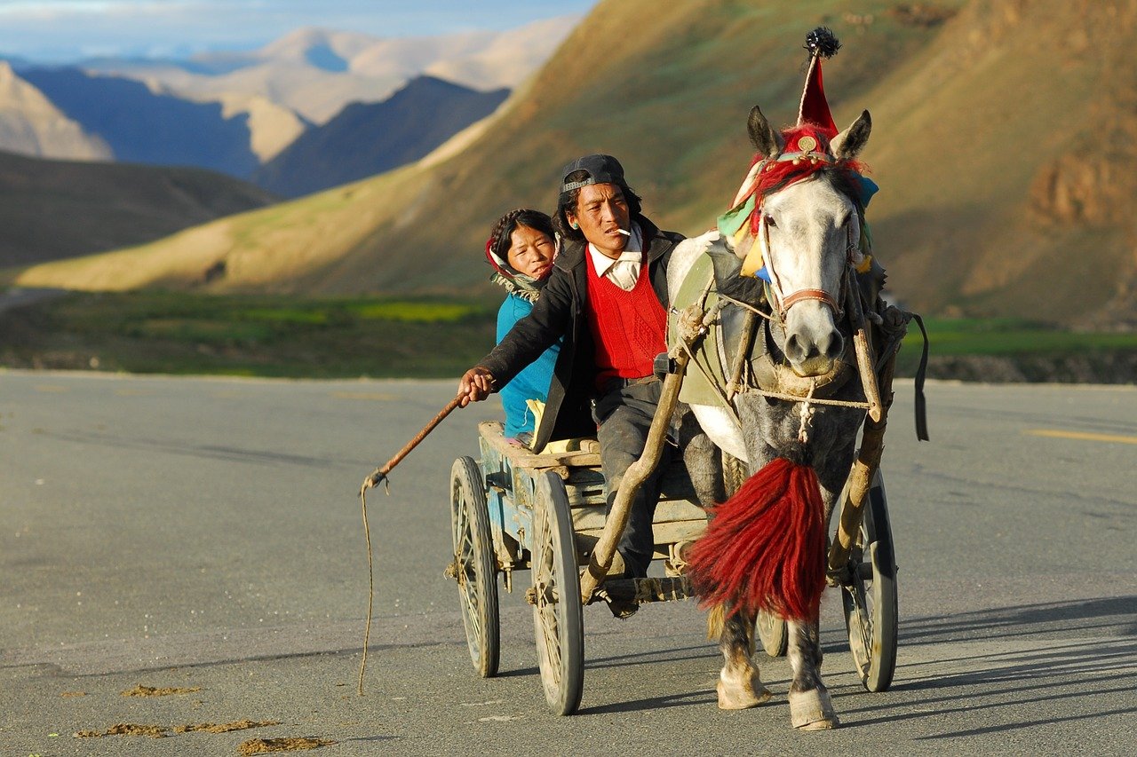 horse-drawn-carriage-952688_1280