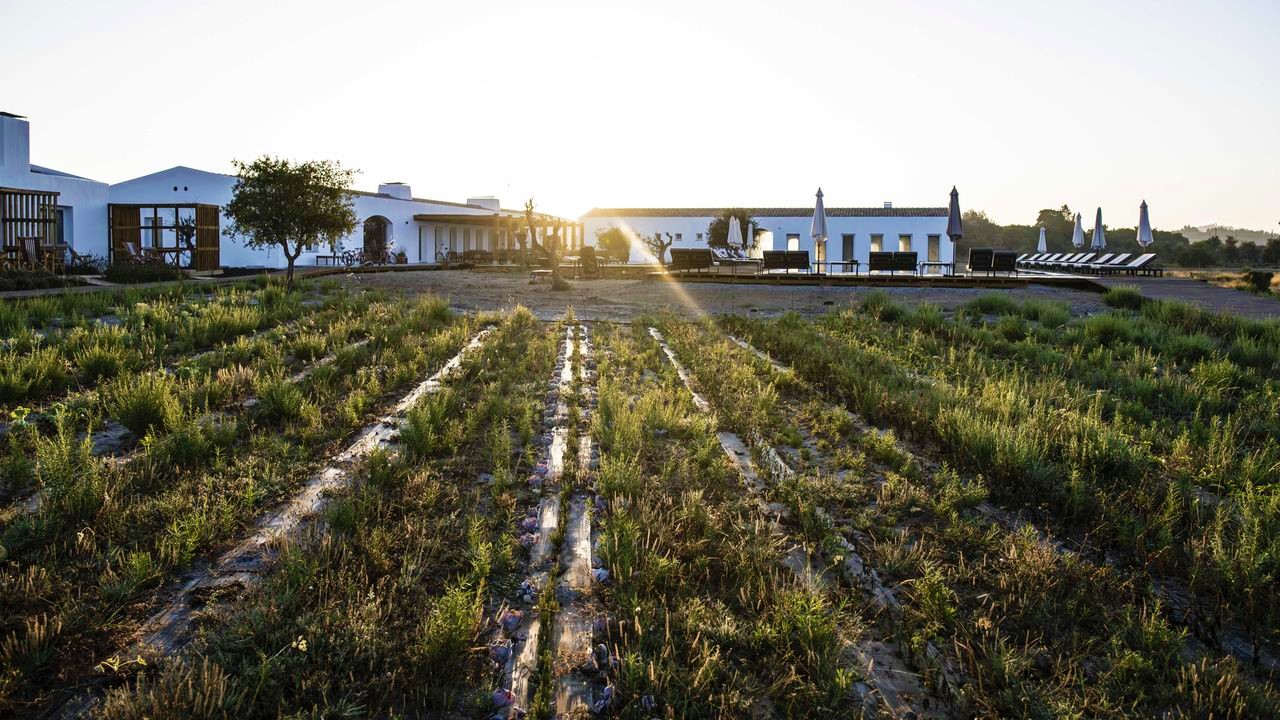 craveiral-farmhouse-by-belong-staying-and-feeling-gallerycraveiral-portugal-photo-martin-kaufmann_dsc9360